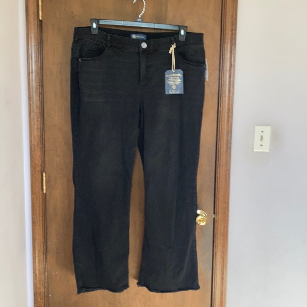 Democracy ab solution high rise itty bitty more boot jean raw hem 22W